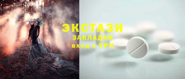 ГАЛЛЮЦИНОГЕННЫЕ ГРИБЫ Инта