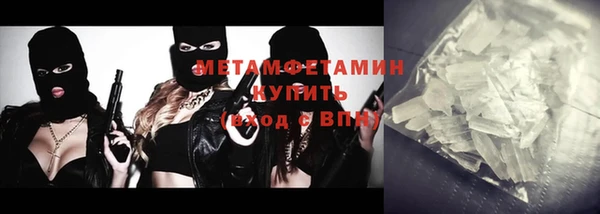 ГАЛЛЮЦИНОГЕННЫЕ ГРИБЫ Инта