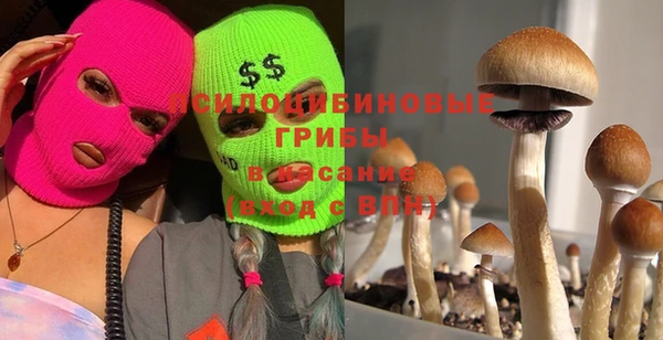 герыч Иннополис