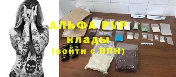 ГАЛЛЮЦИНОГЕННЫЕ ГРИБЫ Инта
