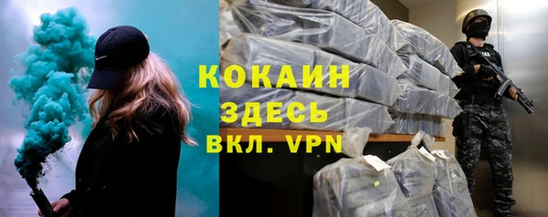 ГАЛЛЮЦИНОГЕННЫЕ ГРИБЫ Инта