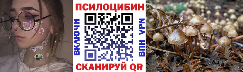 Псилоцибиновые грибы ЛСД  Купить  Советский 